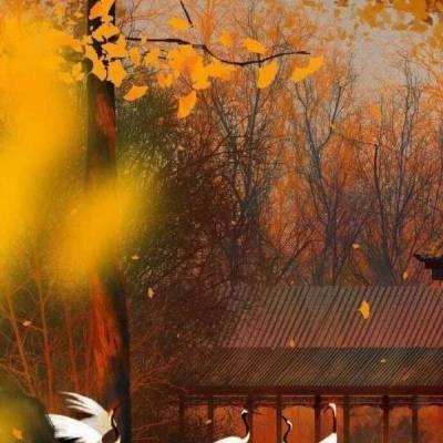 全民飞车手机版下载