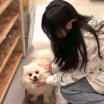 紫月屠龙果盘版下载
